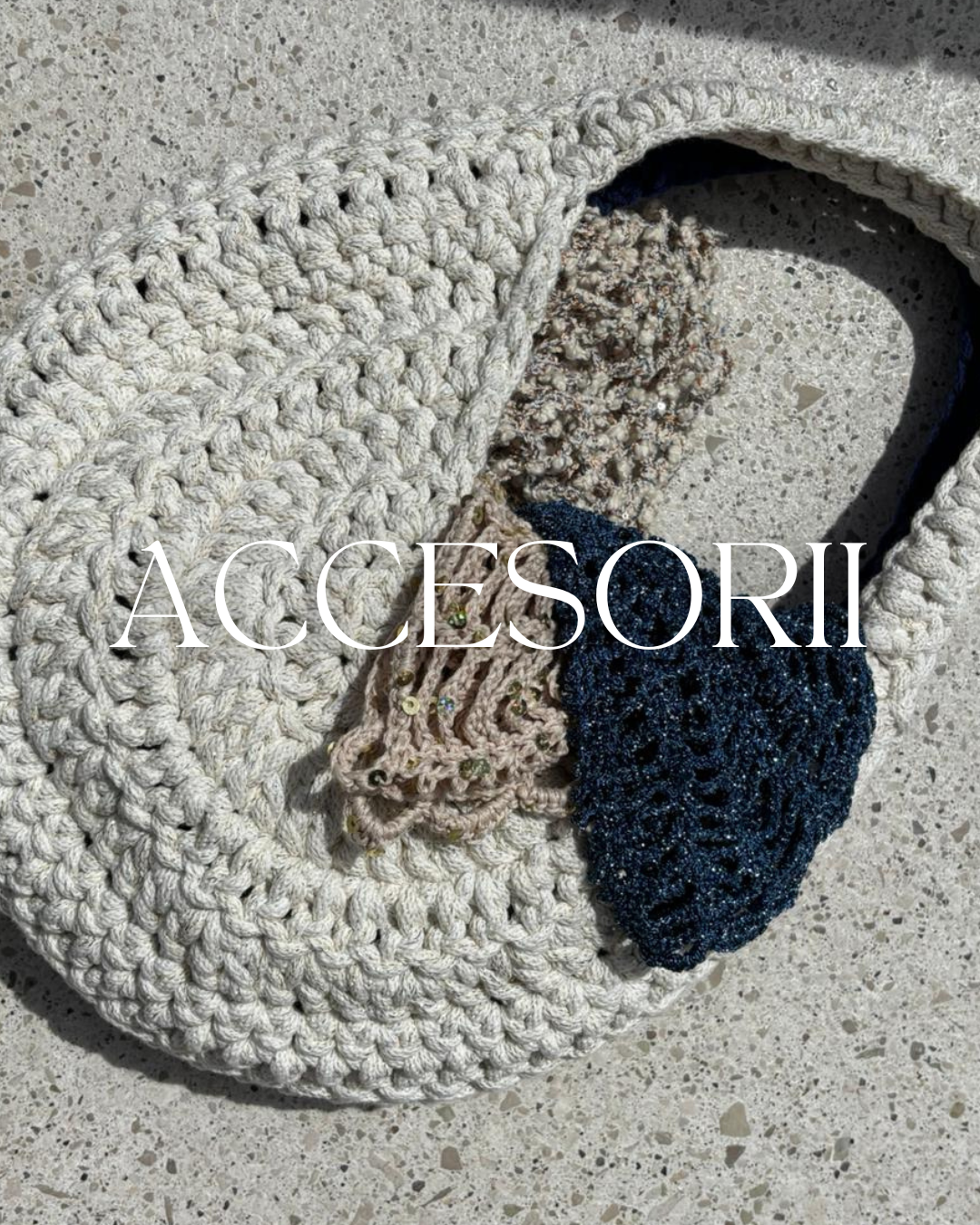ACCESORII